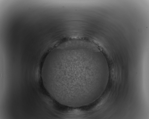 X0000088400594200705291430