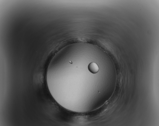 X0000088400595200705291430