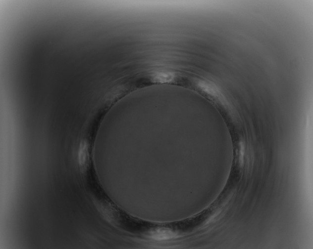 X0000088400598200705291430