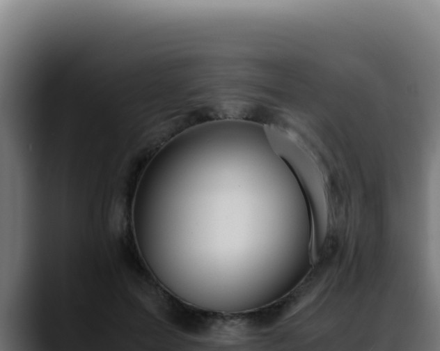 X0000088400599200705291430