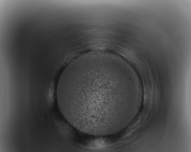 X0000088400600200705291430