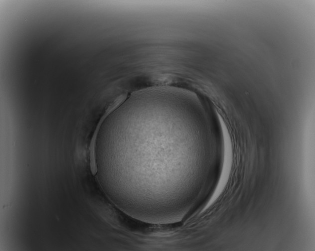 X0000088400601200705291430