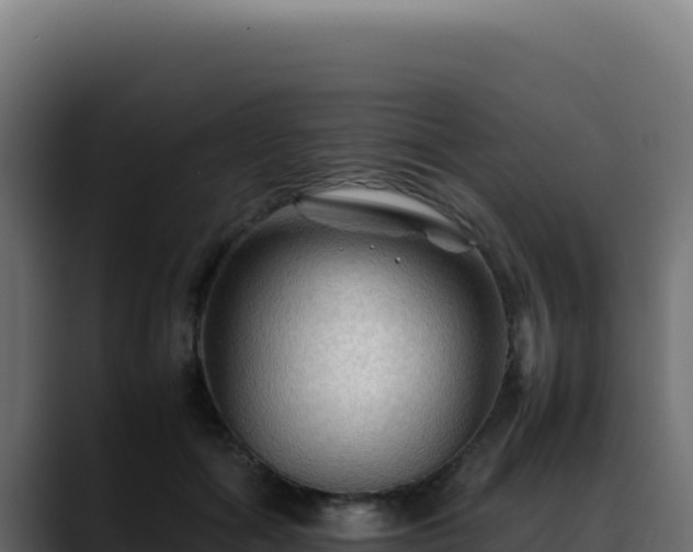 X0000088400602200705291430