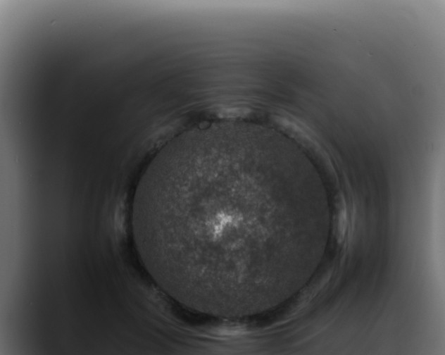 X0000088400604200705291430