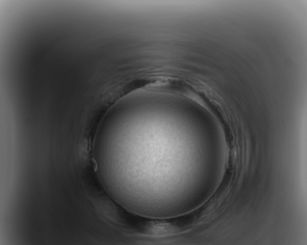 X0000088400605200705291430