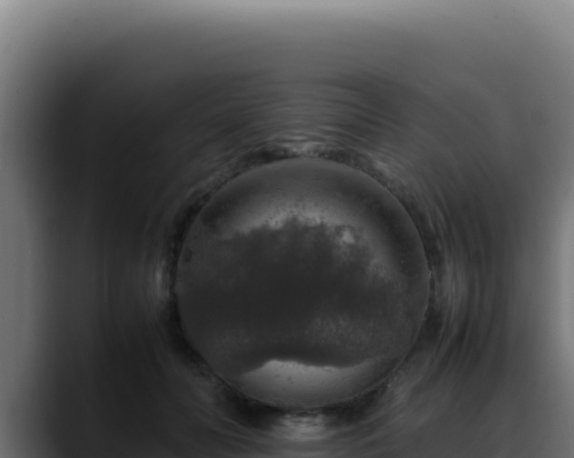 X0000088400606200705291430