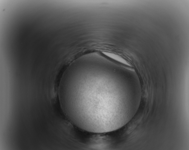 X0000088400607200705291430