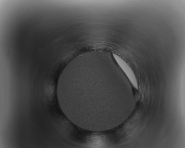 X0000088400608200705291430