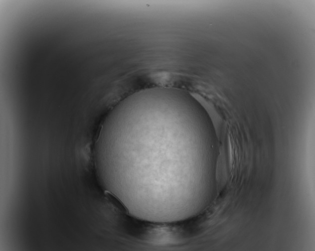 X0000088400611200705291430