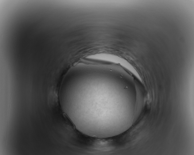 X0000088400613200705291430