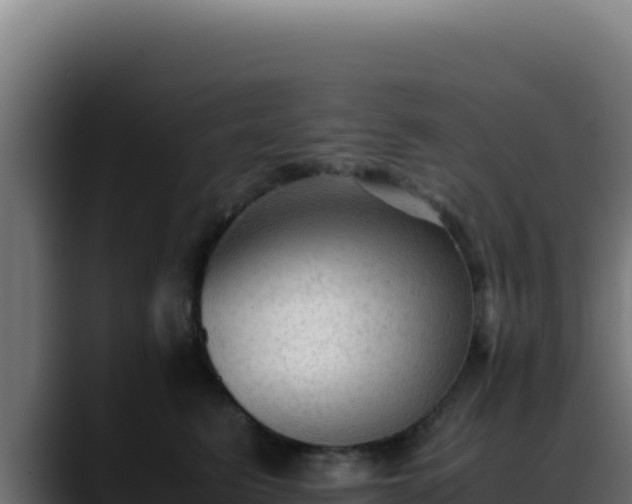 X0000088400615200705291430