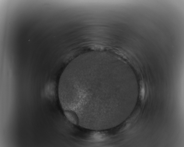 X0000088400616200705291430