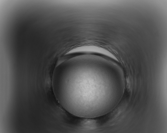 X0000088400617200705291430