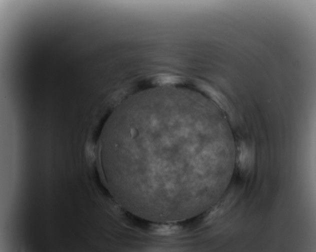 X0000088400621200705291430