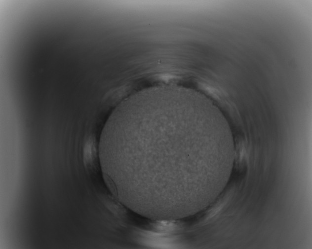 X0000088400623200705291430