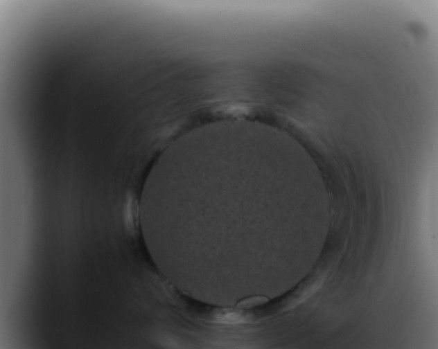 X0000088400624200705291430