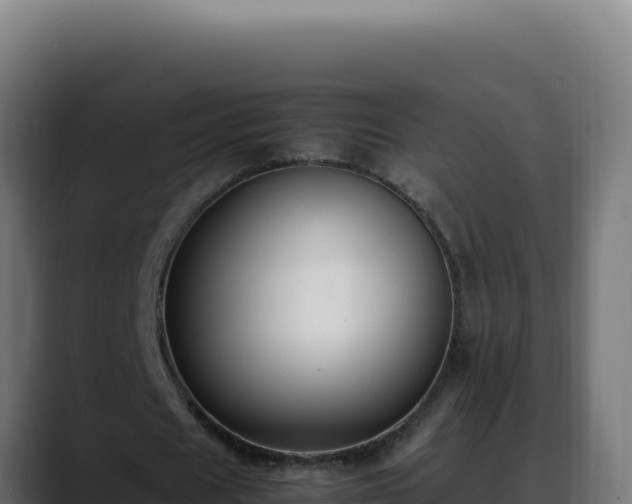 X0000088400625200705291429