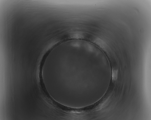 X0000088400627200705291429