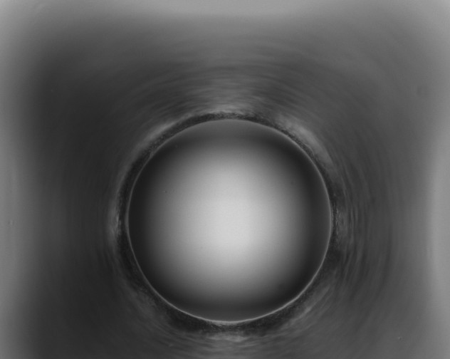 X0000088400628200705291429