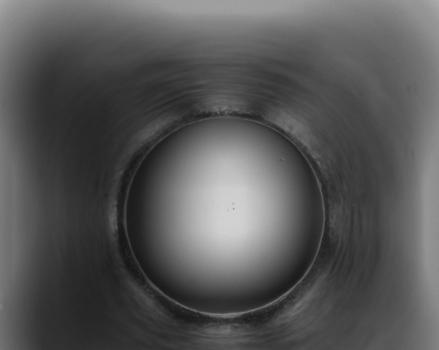 X0000088400629200705291429