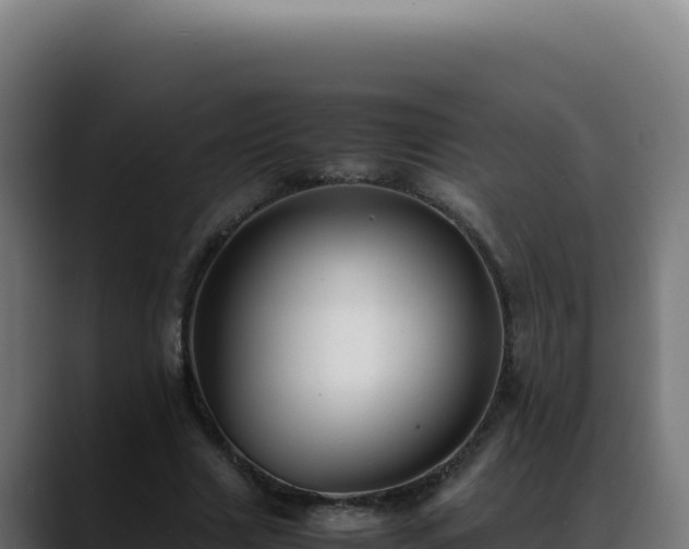 X0000088400633200705291429