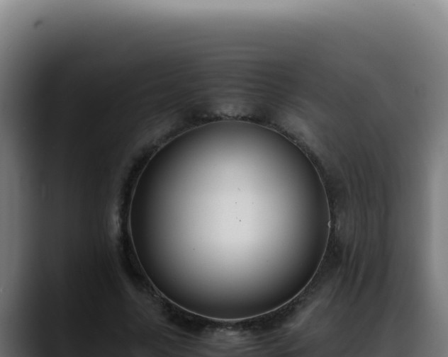 X0000088400635200705291429