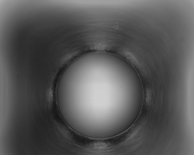 X0000088400636200705291429