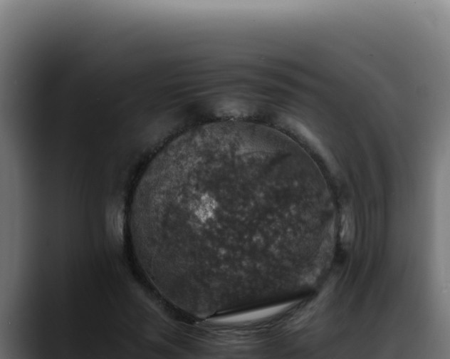 X0000088400637200705291429