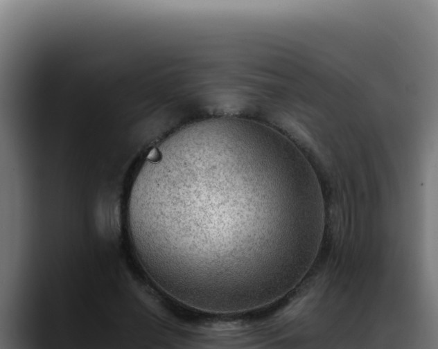 X0000088400638200705291429