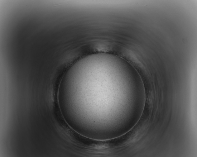 X0000088400639200705291429