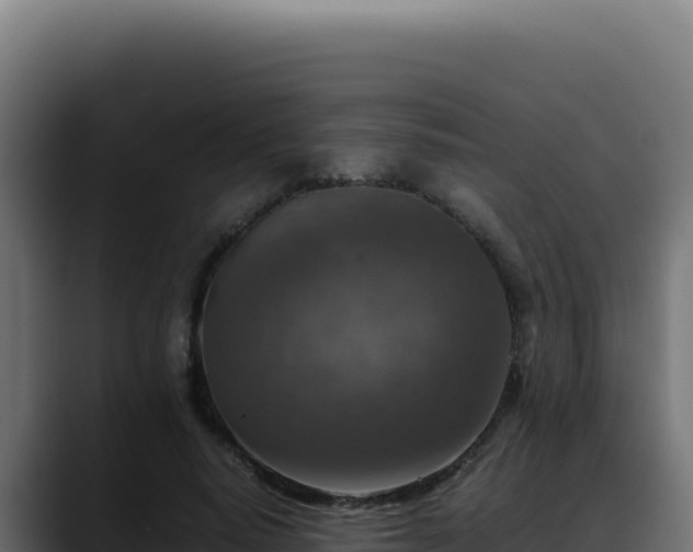 X0000088400640200705291429