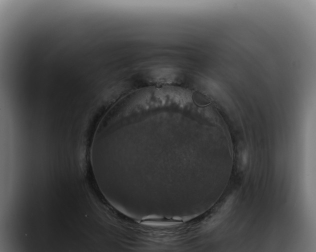 X0000088400641200705291429