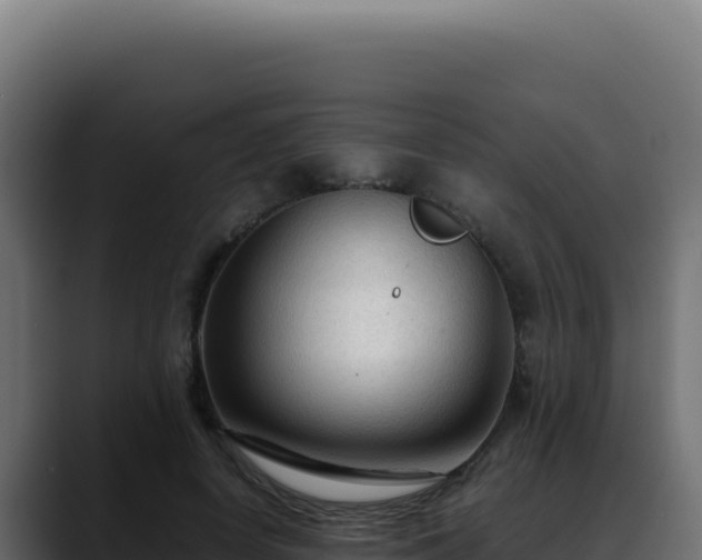 X0000088400642200705291429