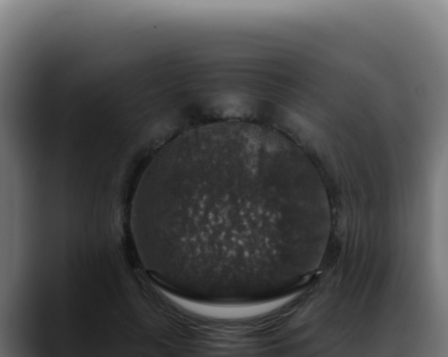 X0000088400643200705291429