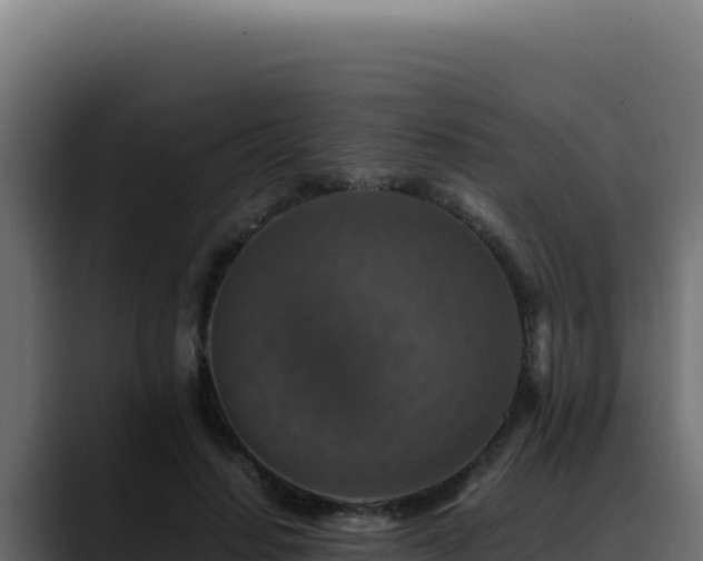 X0000088400644200705291429