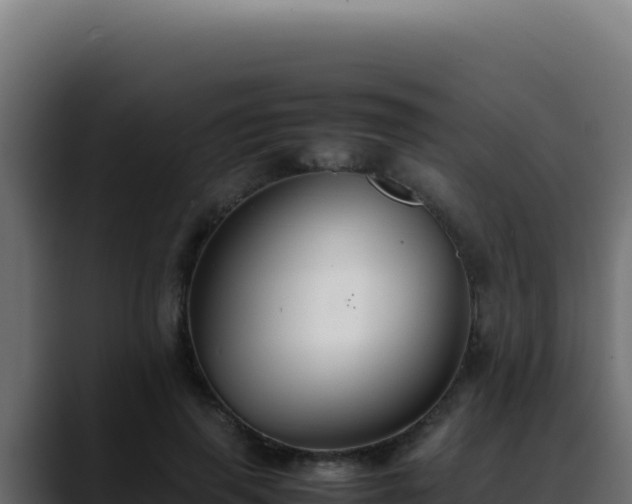 X0000088400645200705291429