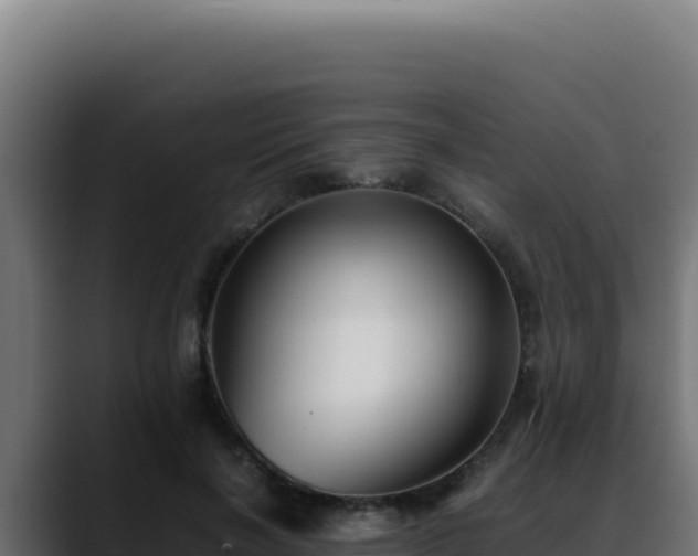 X0000088400646200705291429