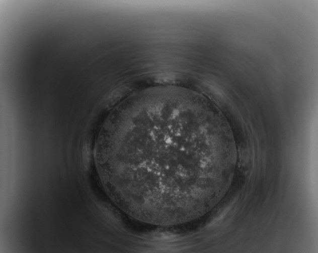 X0000088400648200705291430