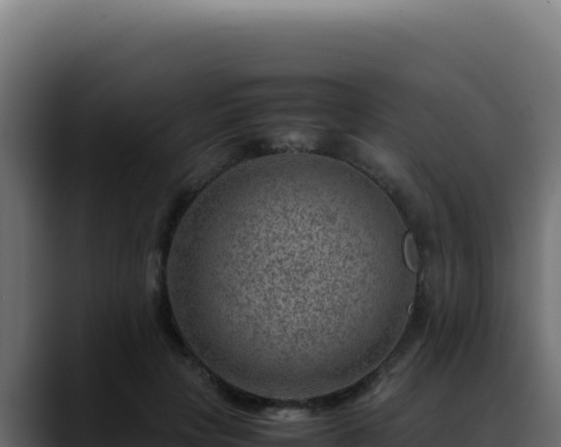 X0000088400649200705291430