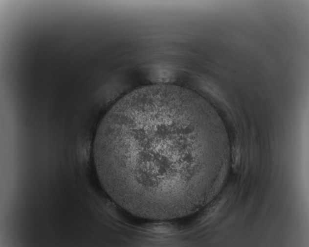 X0000088400652200705291430