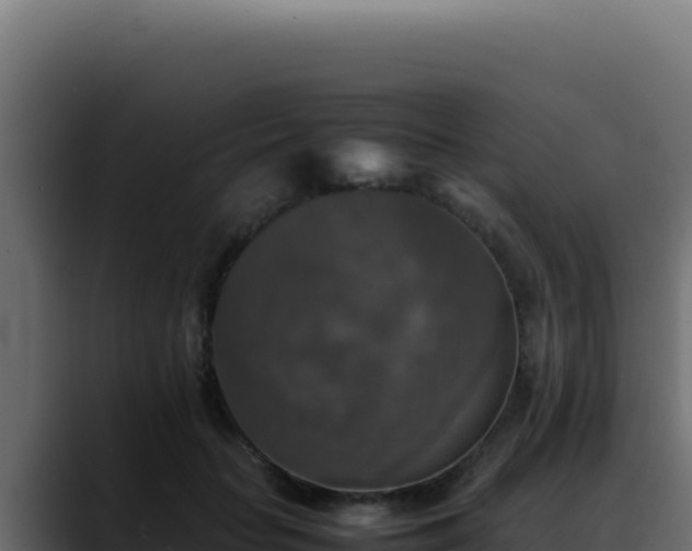 X0000088400653200705291430