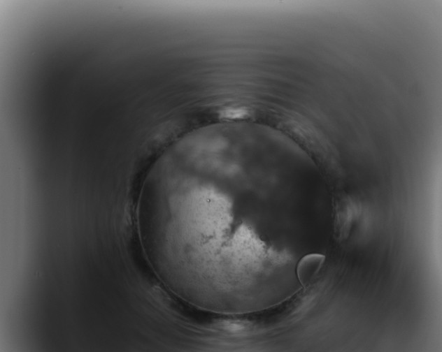 X0000088400654200705291430