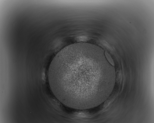 X0000088400655200705291430