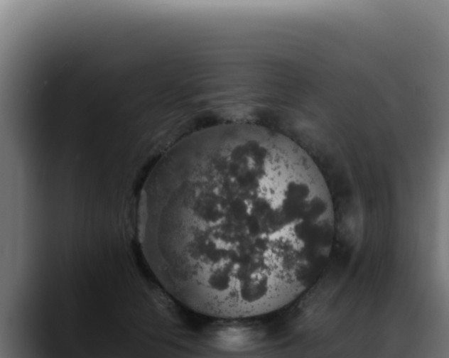 X0000088400658200705291430