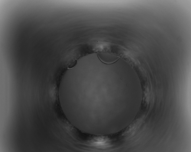 X0000088400659200705291430