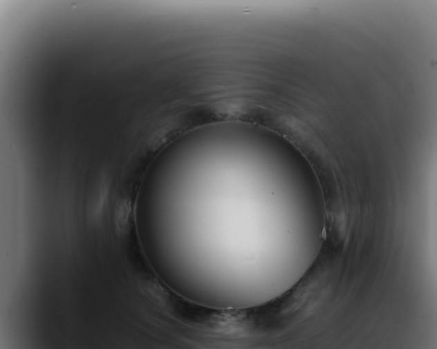 X0000088400660200705291430