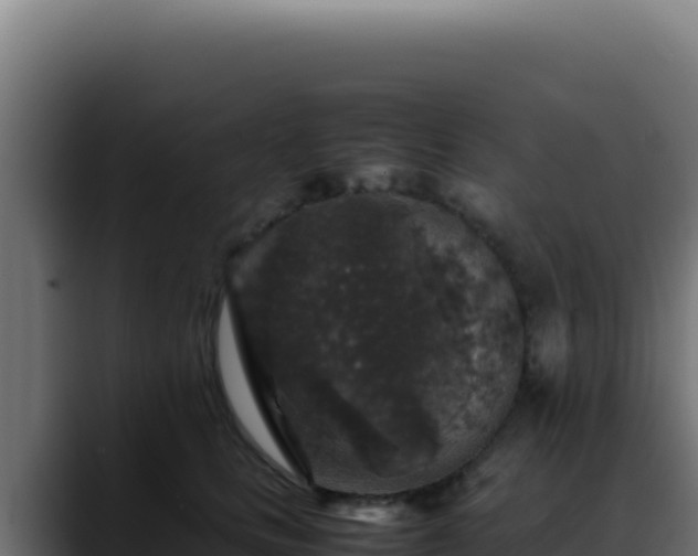 X0000088400661200705291430