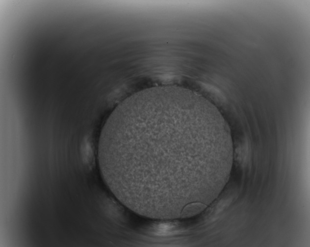 X0000088400662200705291430