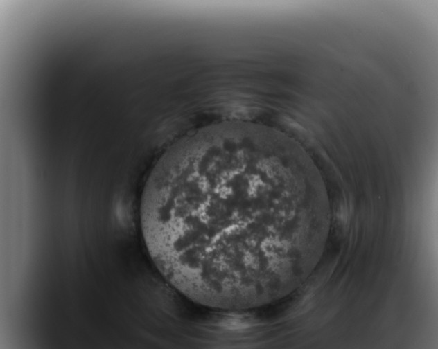 X0000088400663200705291430