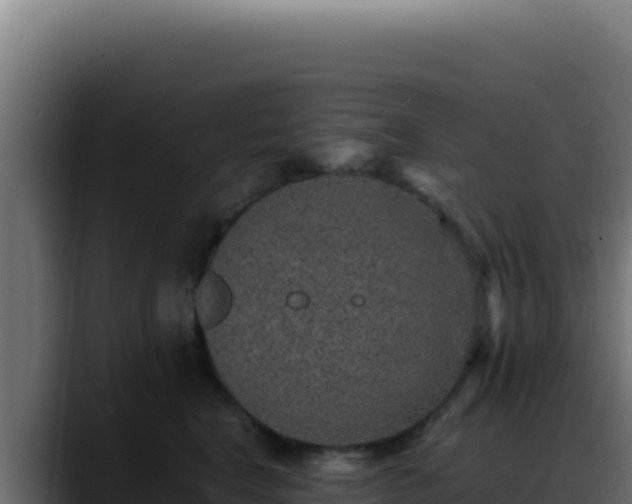 X0000088400664200705291430